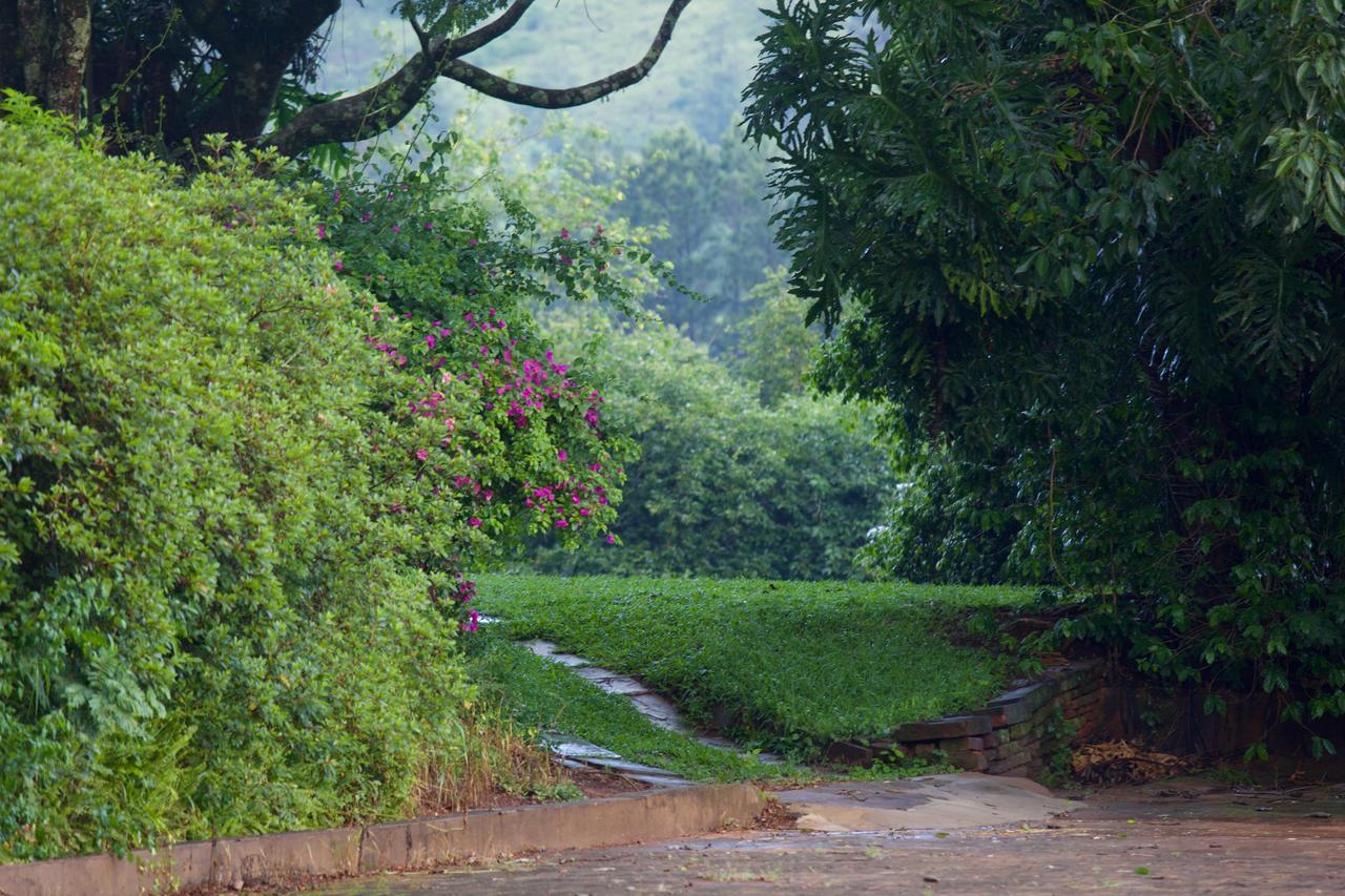Pousada Fazenda Pinhalzinho Ribeirao Claro Exterior foto