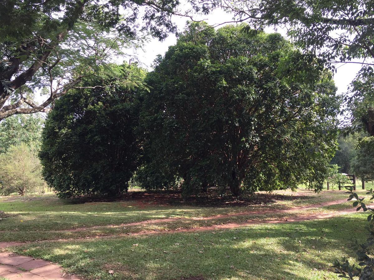 Pousada Fazenda Pinhalzinho Ribeirao Claro Exterior foto